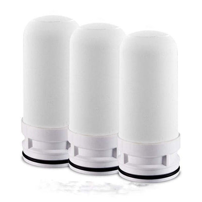 Diatom Ooze Ceramic Filter